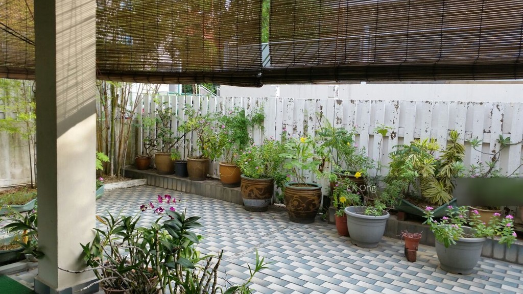 WEST COAST GROVE (D5), Terrace #119000302